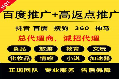 SEM广告投放的精准定位与优化案例